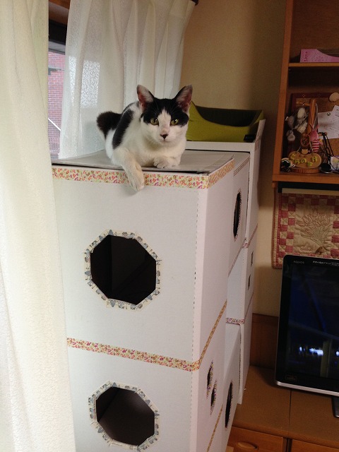 �A�����W���R���݁u�ɂ�񁙃n�E�X�v�g������Ȃ�