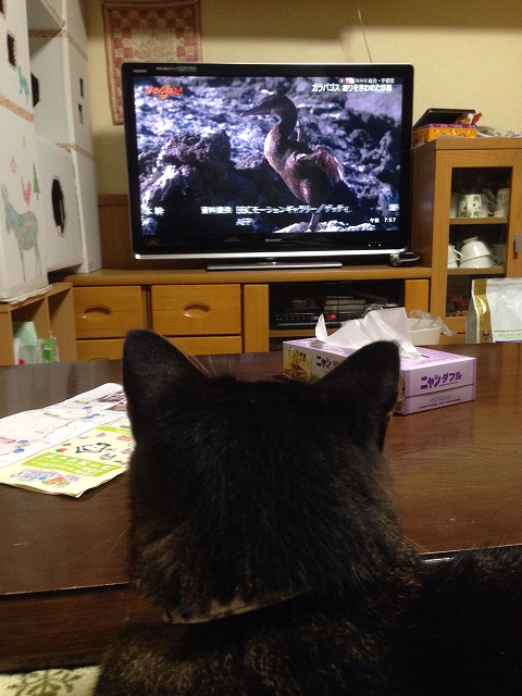 �A�����W���R���݁u�ɂ�񁙃n�E�X�v�g������Ȃ�