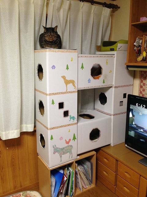 �A�����W���R���݁u�ɂ�񁙃n�E�X�v�g������Ȃ�