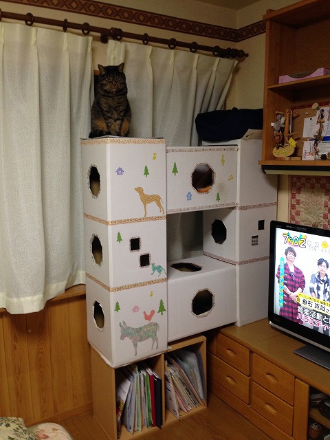 �A�����W���R���݁u�ɂ�񁙃n�E�X�v�g������Ȃ�