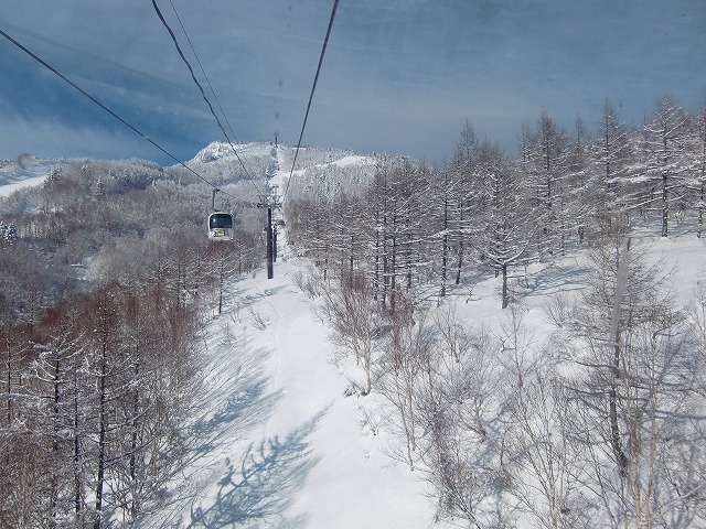 �A�����W���R���݁u�ɂ�񁙃n�E�X�v�g������Ȃ�