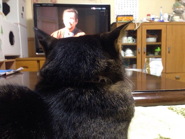 �A�����W���R���݁u�ɂ�񁙃n�E�X�v�g������Ȃ�