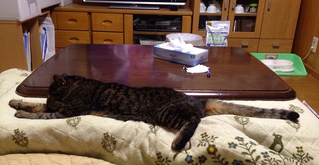 �A�����W���R���݁u�ɂ�񁙃n�E�X�v�g������Ȃ�