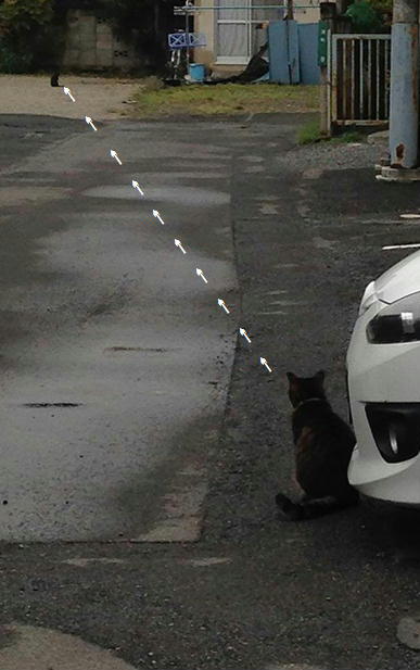 �A�����W���R���݁u�ɂ�񁙃n�E�X�v�g������Ȃ�