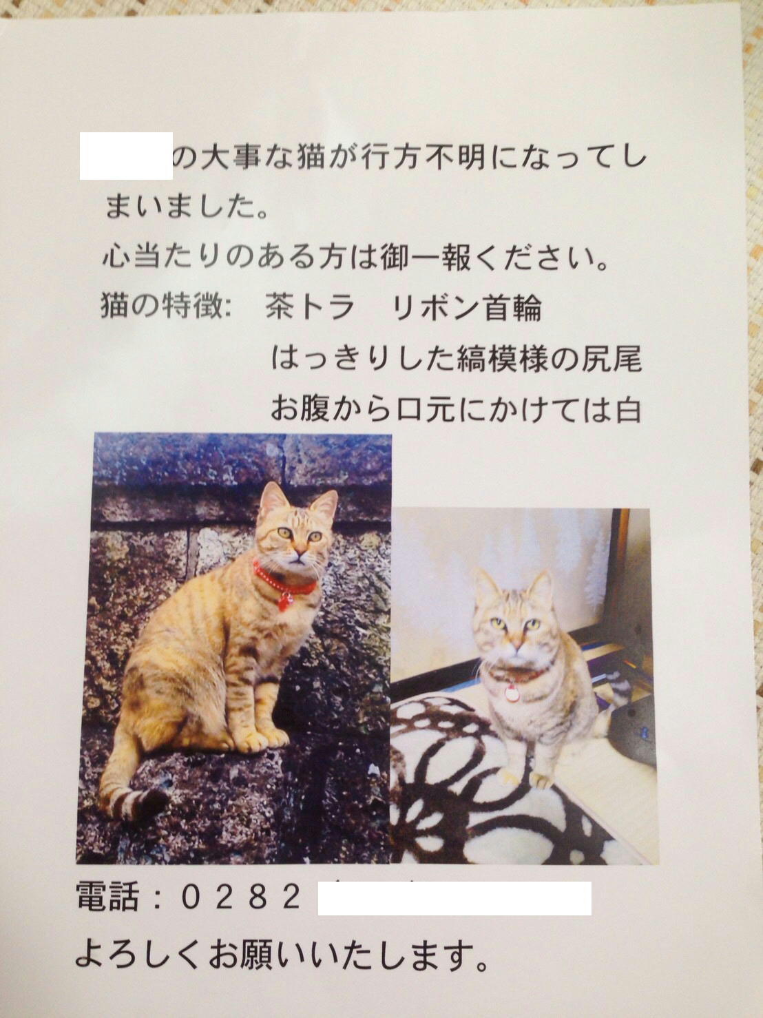 �A�����W���R���݁u�ɂ�񁙃n�E�X�v�g������Ȃ�