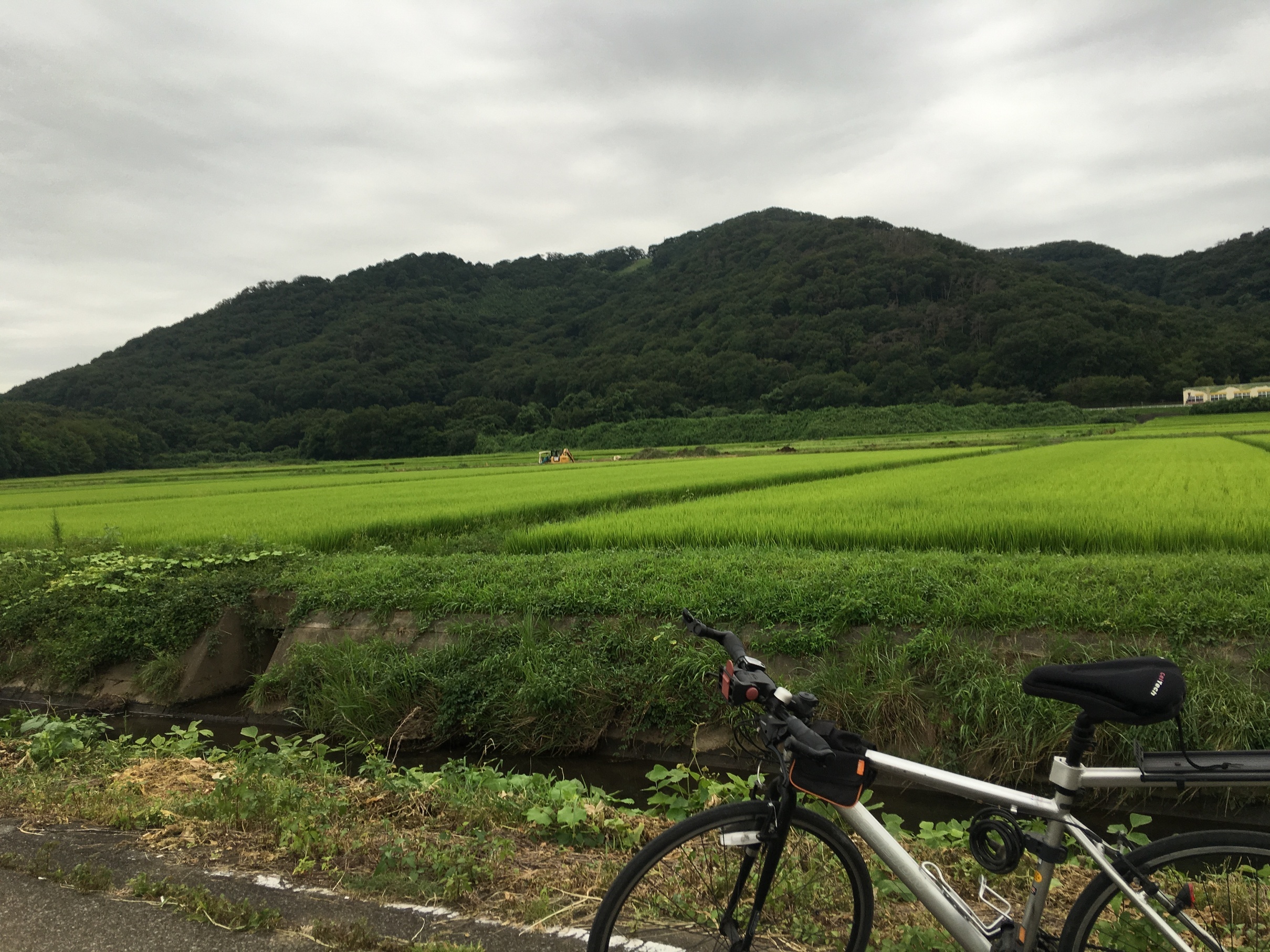 �A�����W���R���݁u�ɂ�񁙃n�E�X�v�g������Ȃ�