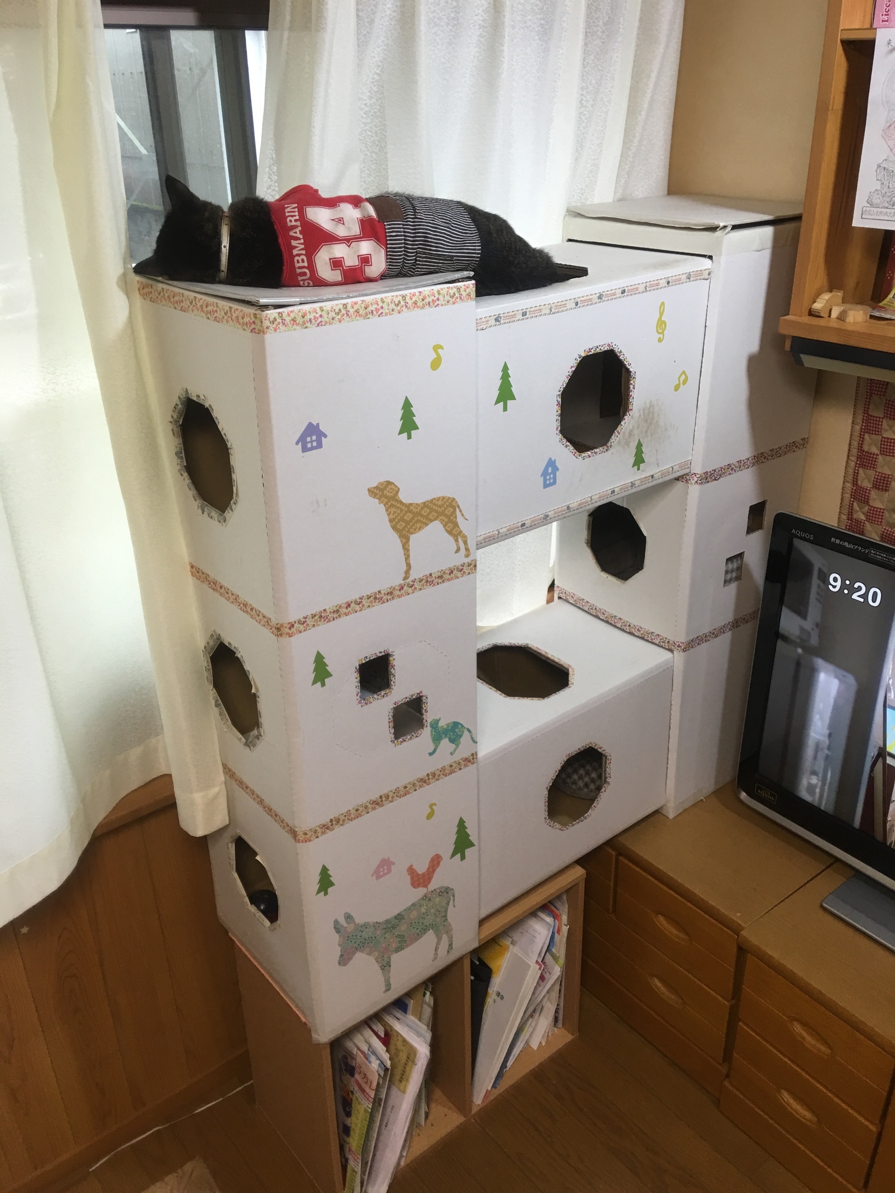 �A�����W���R���݁u�ɂ�񁙃n�E�X�v�g������Ȃ�