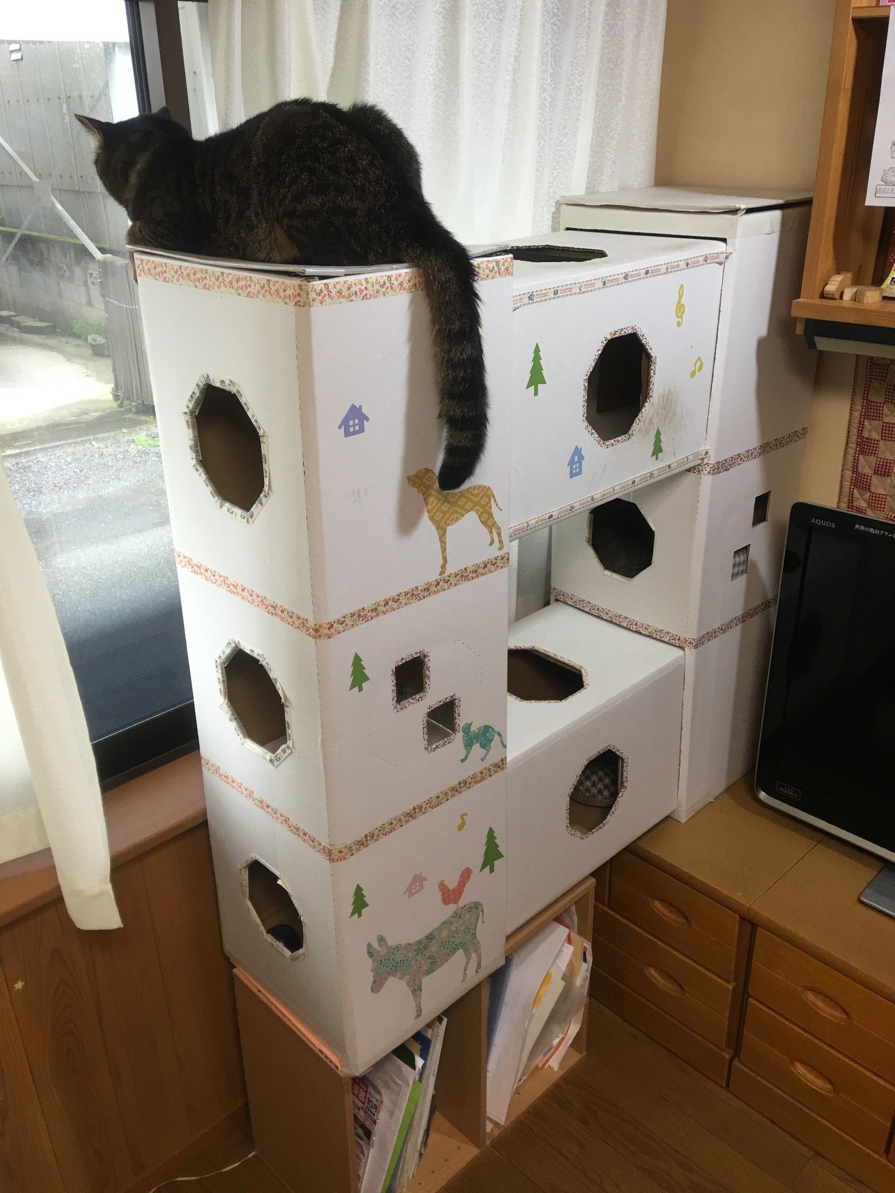 �A�����W���R���݁u�ɂ�񁙃n�E�X�v�g������Ȃ�