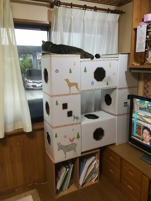 �A�����W���R���݁u�ɂ�񁙃n�E�X�v�g������Ȃ�