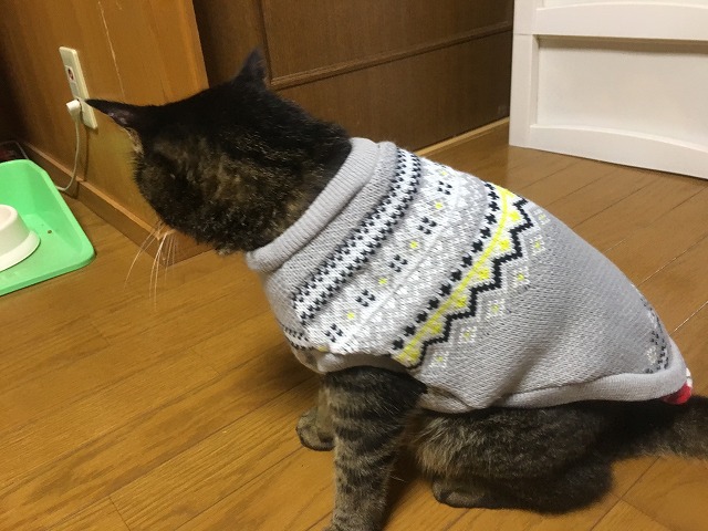 �A�����W���R���݁u�ɂ�񁙃n�E�X�v�g������Ȃ�