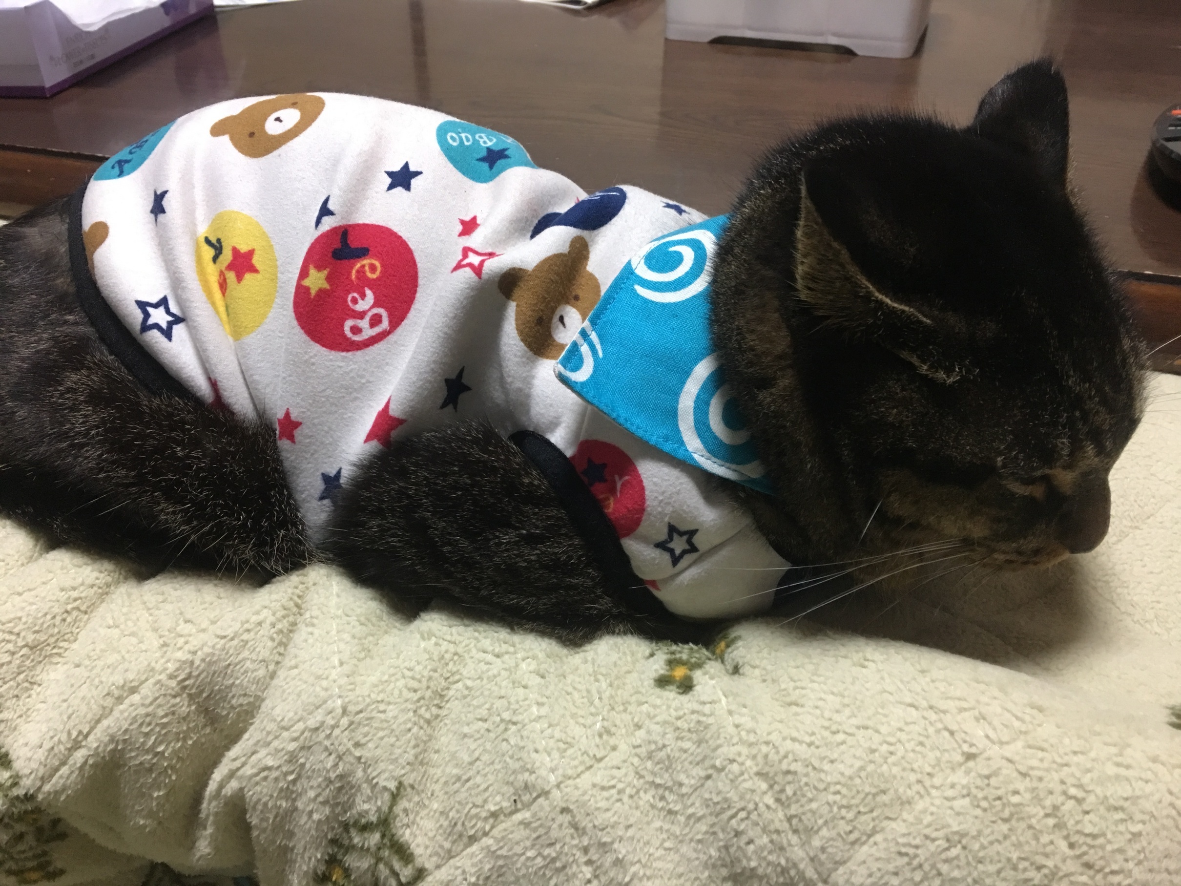 �A�����W���R���݁u�ɂ�񁙃n�E�X�v�g������Ȃ�