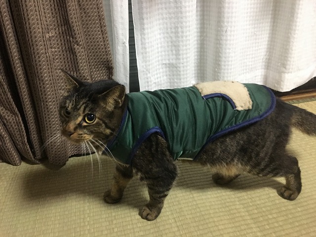 �A�����W���R���݁u�ɂ�񁙃n�E�X�v�g������Ȃ�