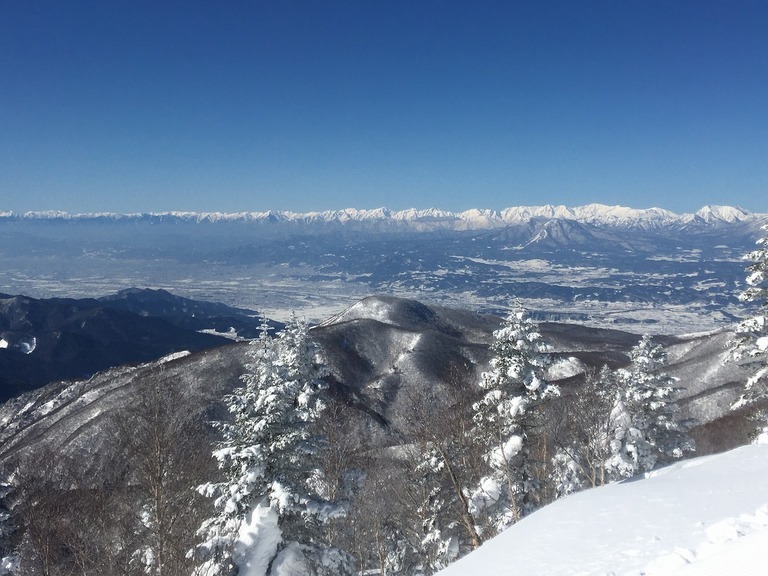 �A�����W���R���݁u�ɂ�񁙃n�E�X�v�g������Ȃ�