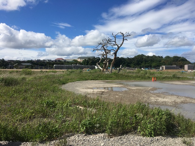 �A�����W���R���݁u�ɂ�񁙃n�E�X�v�g������Ȃ�