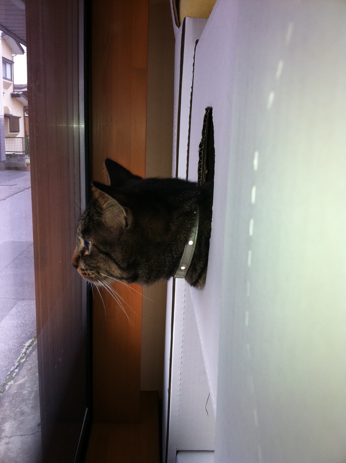 �A�����W���R���݁u�ɂ�񁙃n�E�X�v�g������Ȃ�