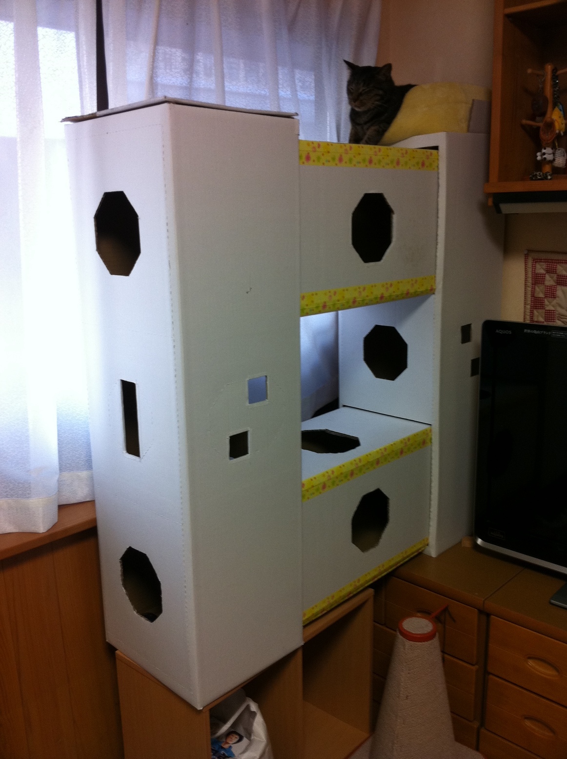 �A�����W���R���݁u�ɂ�񁙃n�E�X�v�g������Ȃ�