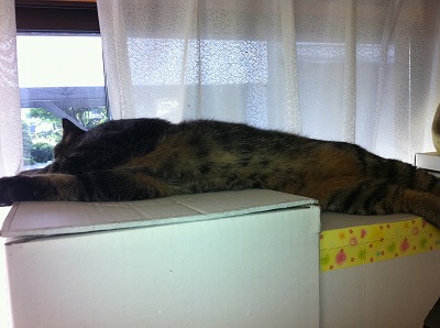 �A�����W���R���݁u�ɂ�񁙃n�E�X�v�g������Ȃ�