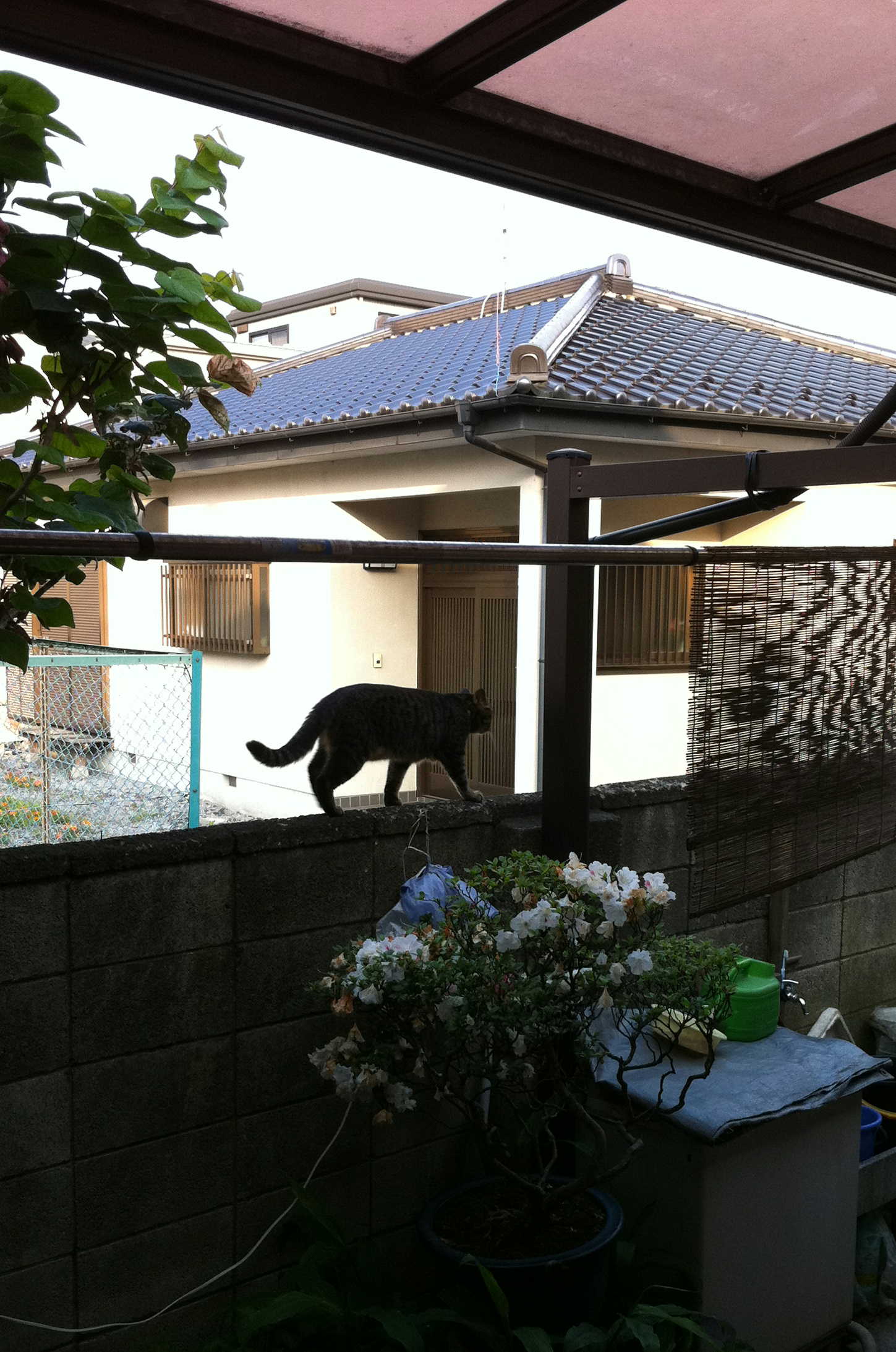 �A�����W���R���݁u�ɂ�񁙃n�E�X�v�g������Ȃ�