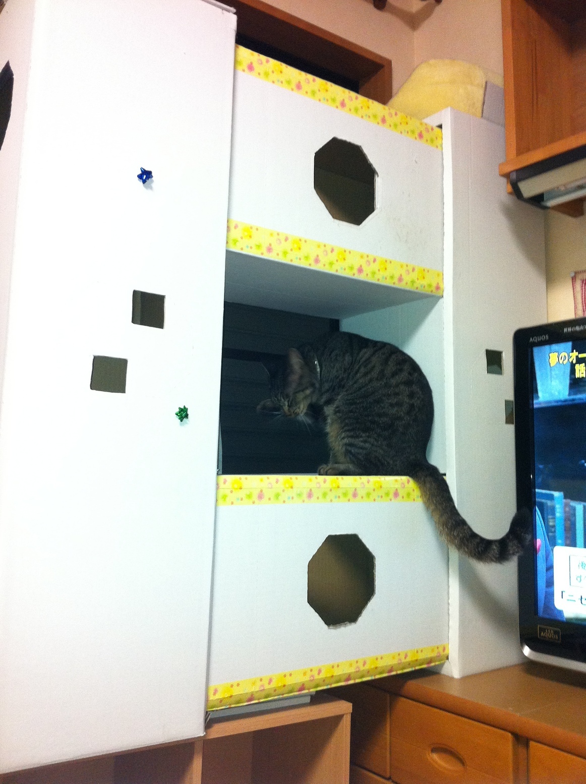 �A�����W���R���݁u�ɂ�񁙃n�E�X�v�g������Ȃ�