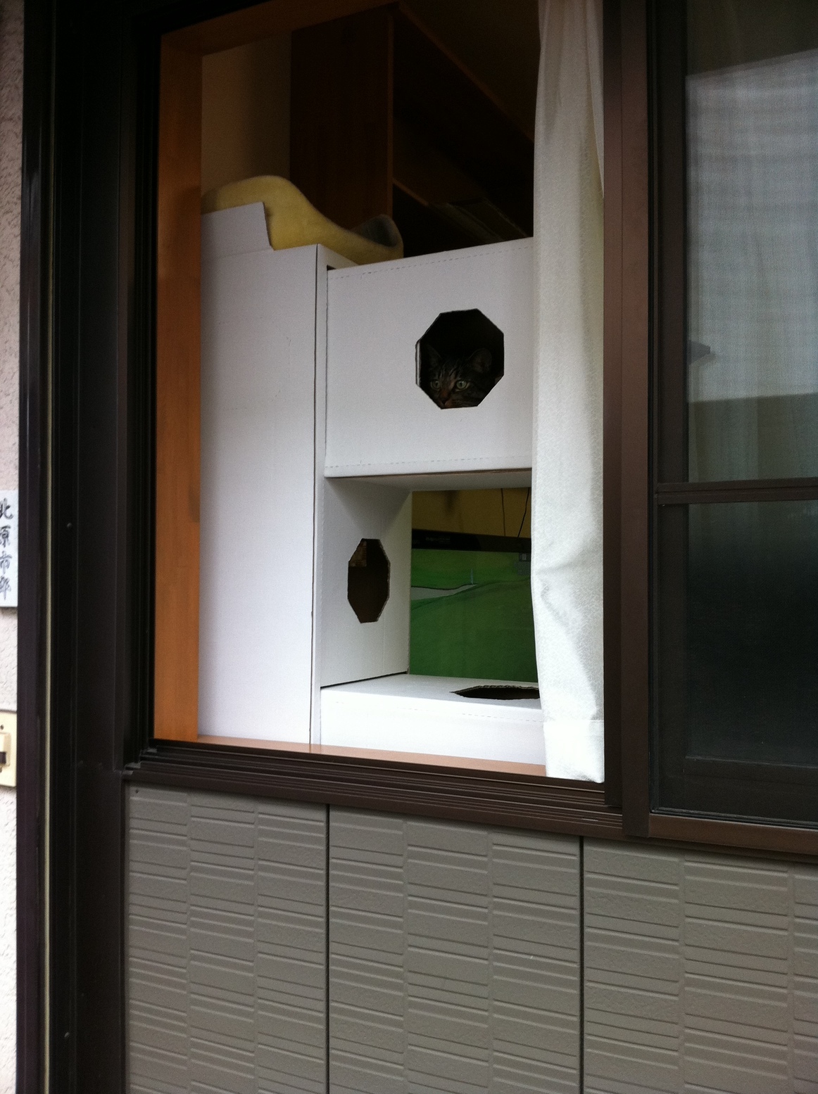 �A�����W���R���݁u�ɂ�񁙃n�E�X�v�g������Ȃ�