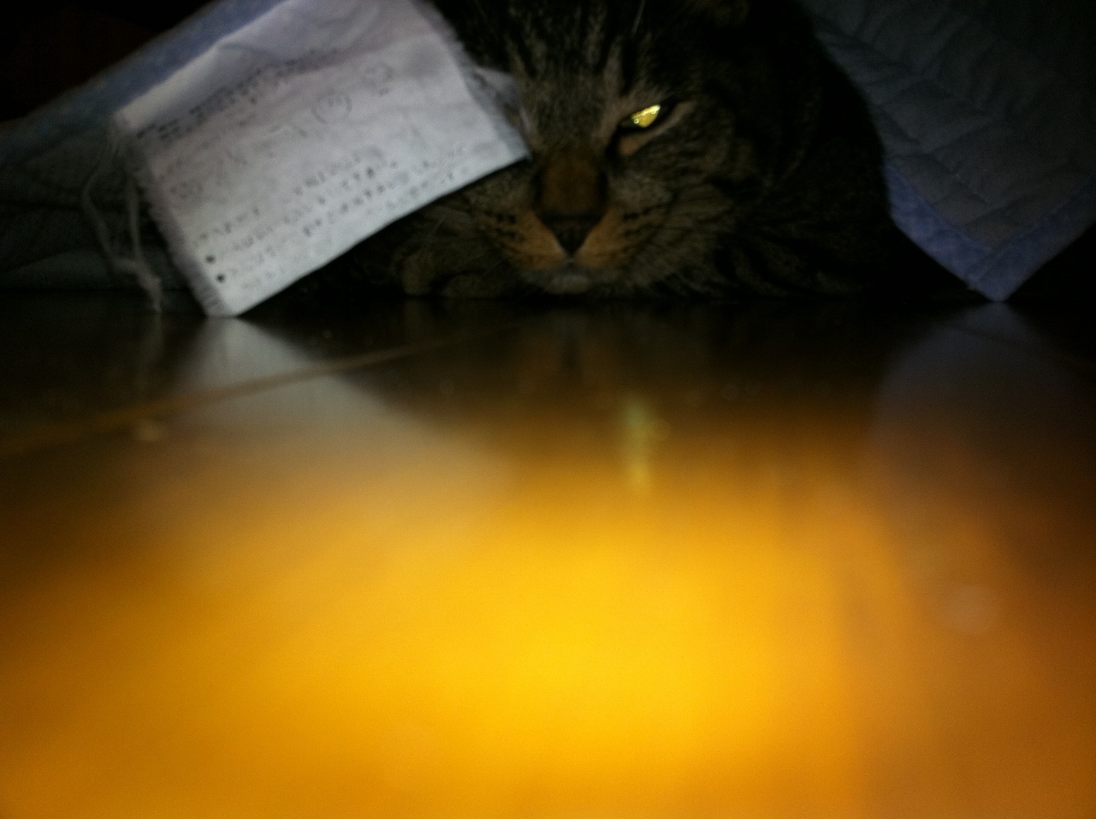 �A�����W���R���݁u�ɂ�񁙃n�E�X�v�g������Ȃ�