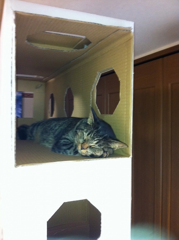 �A�����W���R���݁u�ɂ�񁙃n�E�X�v�g������Ȃ�