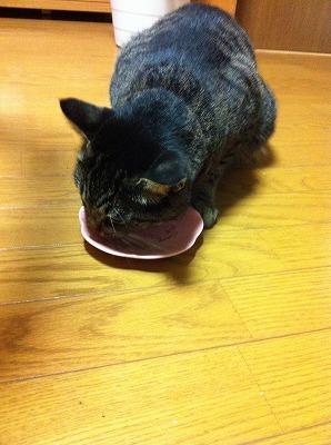 �A�����W���R���݁u�ɂ�񁙃n�E�X�v�g������Ȃ�