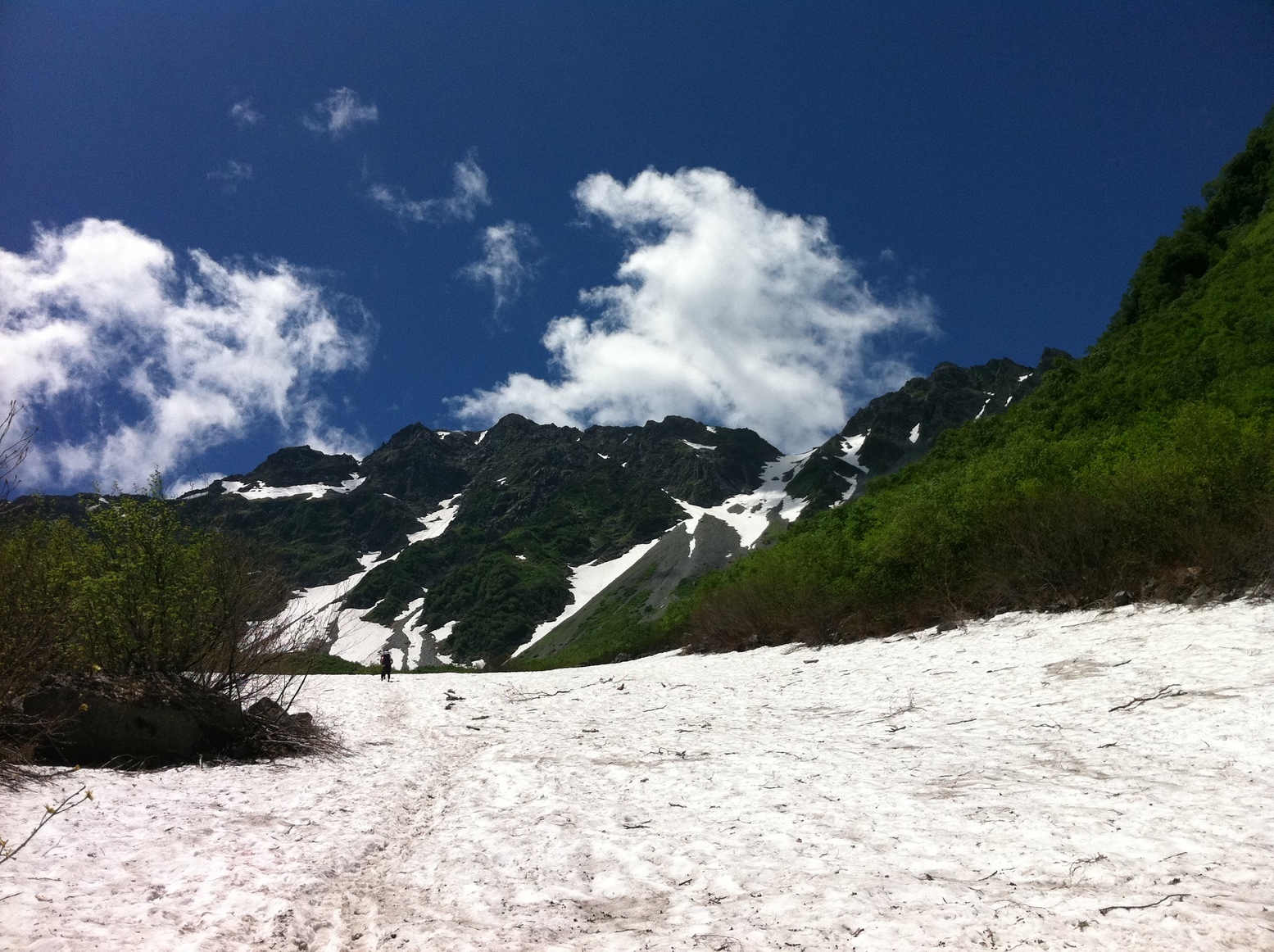 �A�����W���R���݁u�ɂ�񁙃n�E�X�v�g������Ȃ�