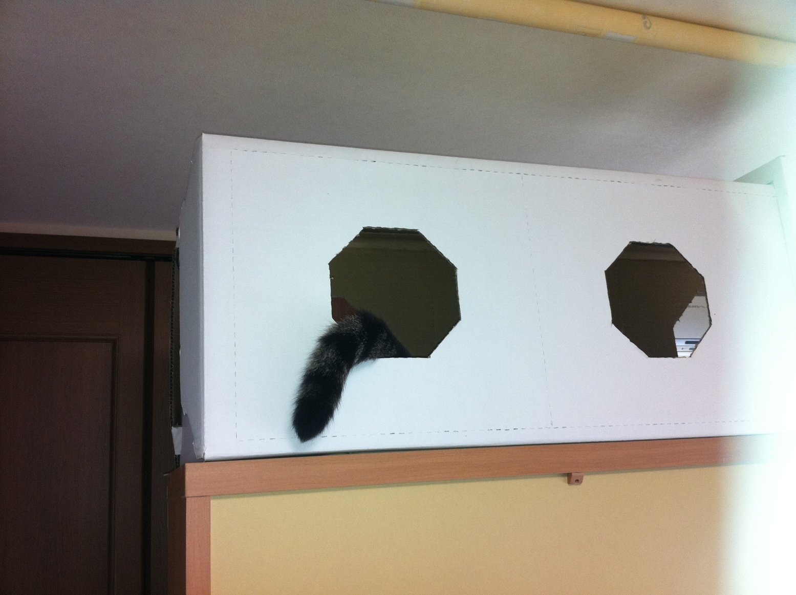 �A�����W���R���݁u�ɂ�񁙃n�E�X�v�g������Ȃ�