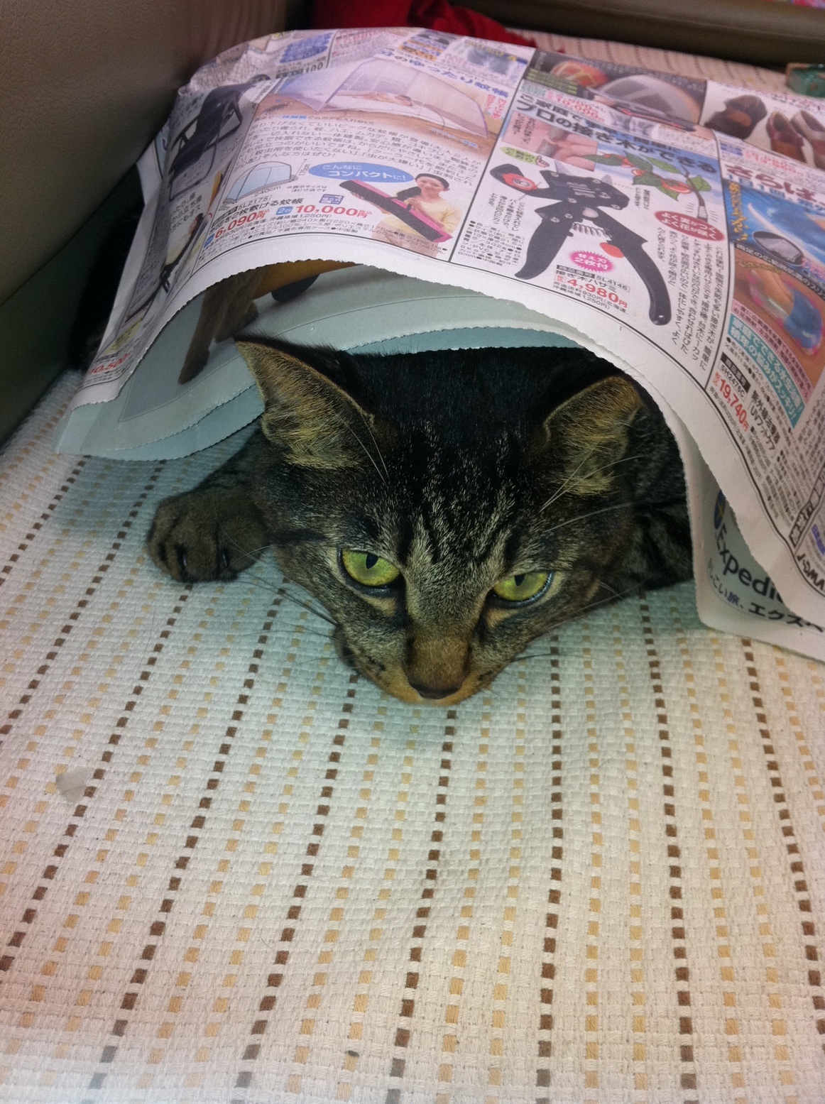 �A�����W���R���݁u�ɂ�񁙃n�E�X�v�g������Ȃ�