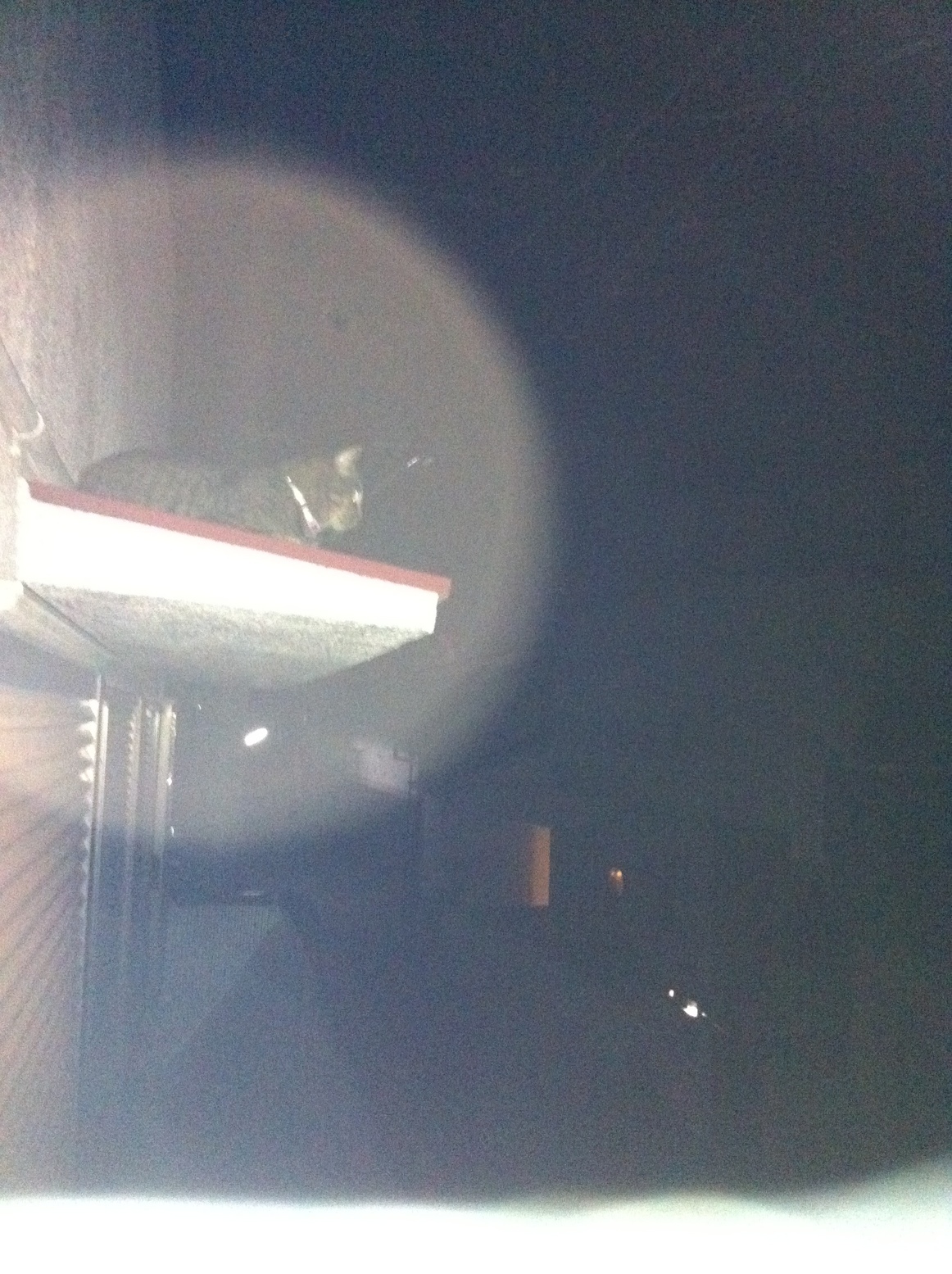 �A�����W���R���݁u�ɂ�񁙃n�E�X�v�g������Ȃ�