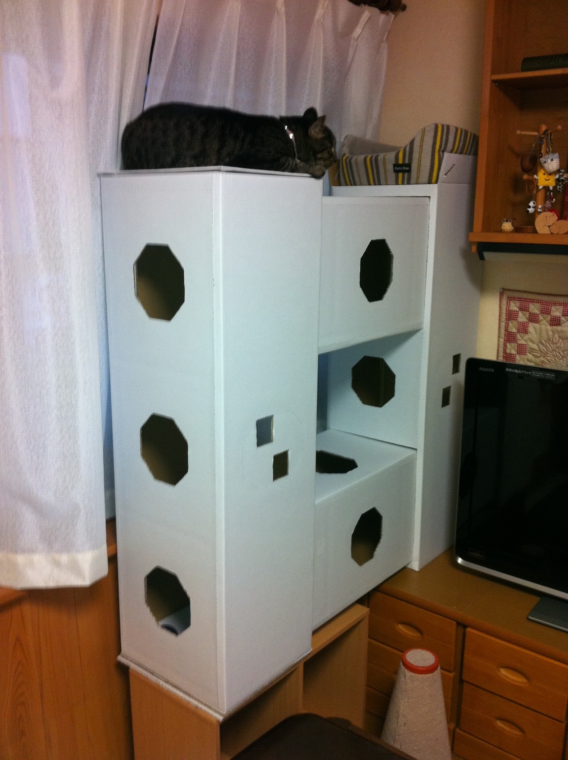 �A�����W���R���݁u�ɂ�񁙃n�E�X�v�g������Ȃ�