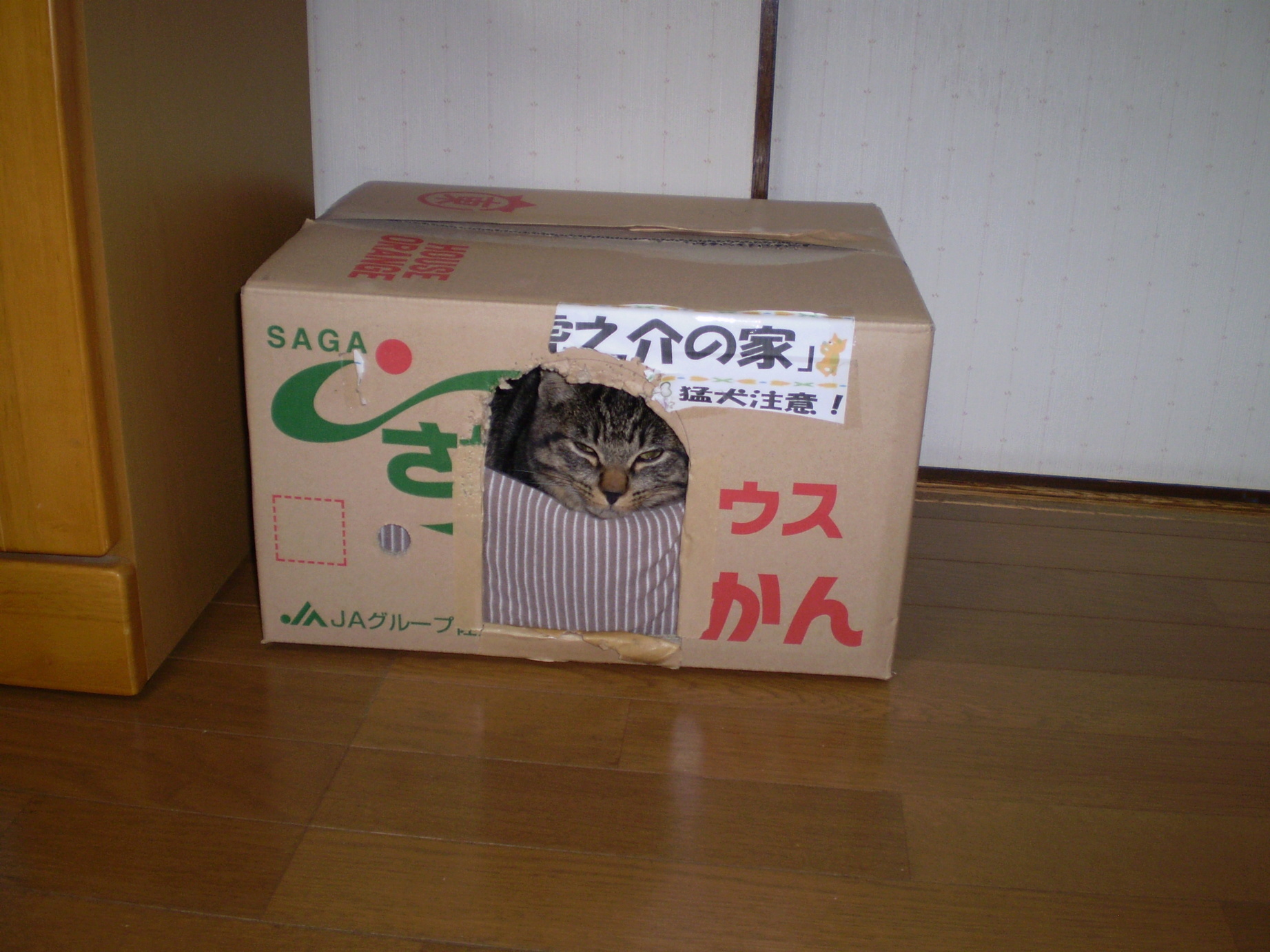 �A�����W���R���݁u�ɂ�񁙃n�E�X�v�g������Ȃ�