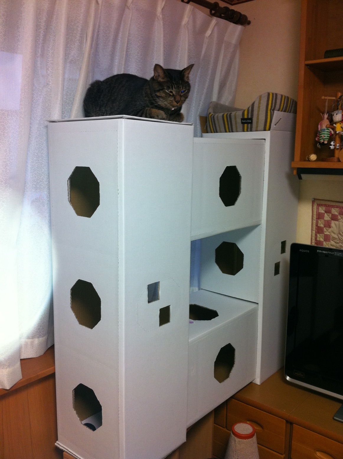 �A�����W���R���݁u�ɂ�񁙃n�E�X�v�g������Ȃ�