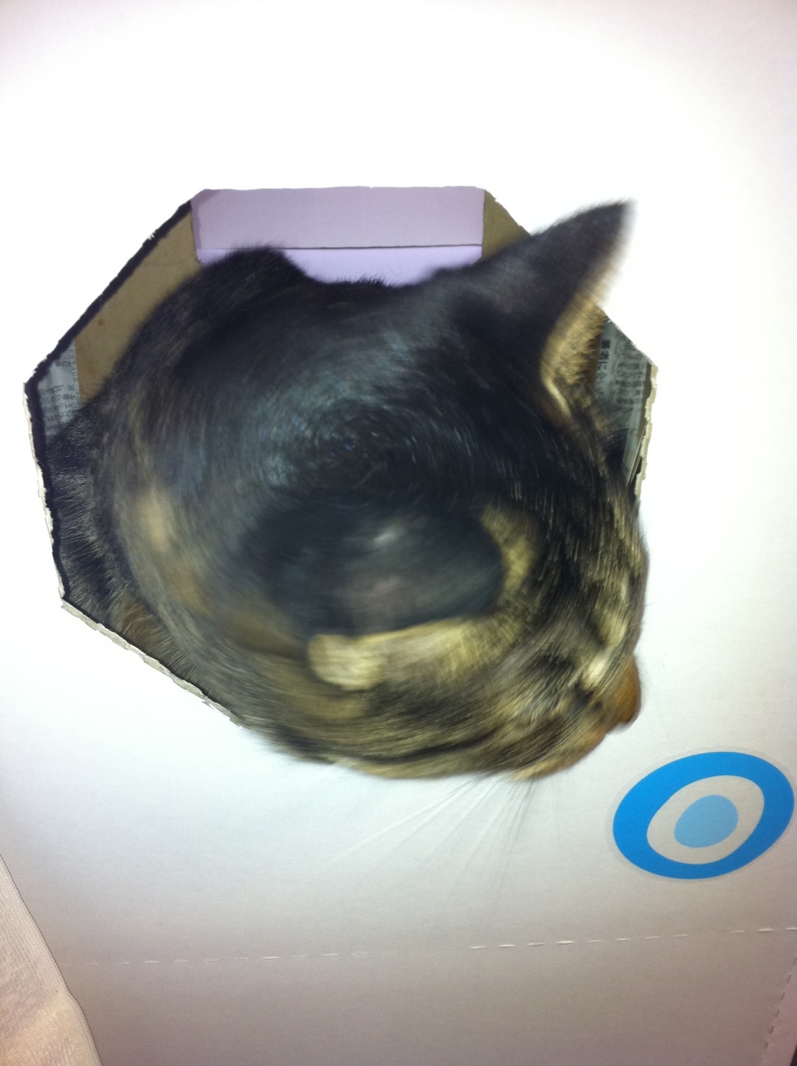 �A�����W���R���݁u�ɂ�񁙃n�E�X�v�g������Ȃ�