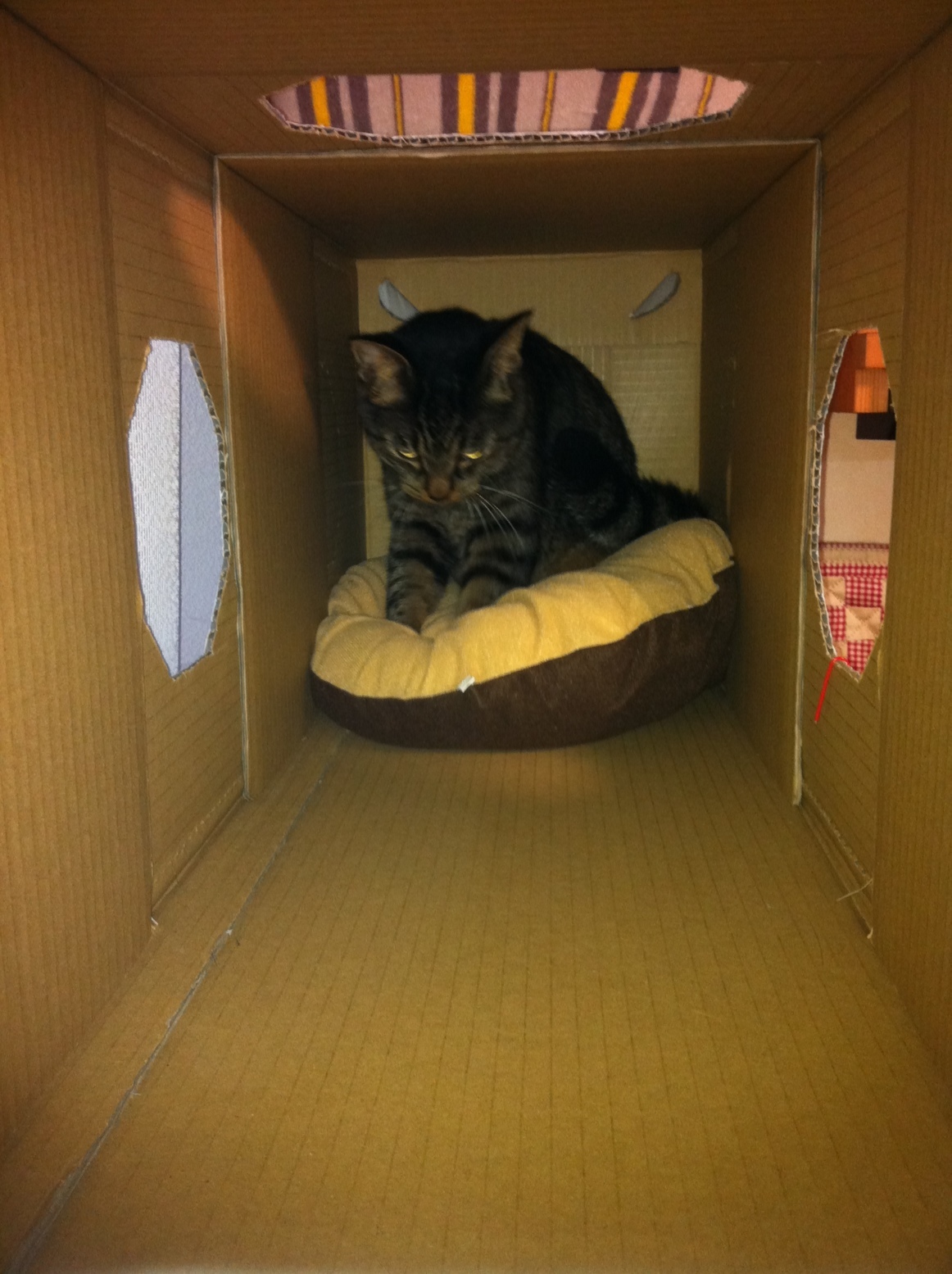 �A�����W���R���݁u�ɂ�񁙃n�E�X�v�g������Ȃ�