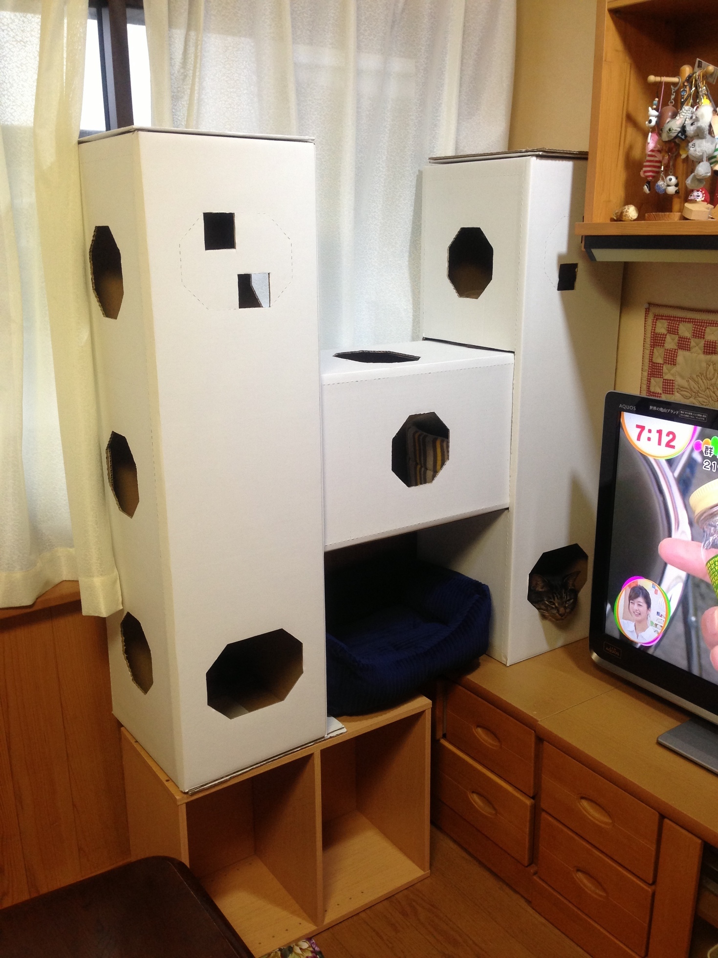 �A�����W���R���݁u�ɂ�񁙃n�E�X�v�g������Ȃ�