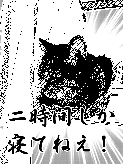 �A�����W���R���݁u�ɂ�񁙃n�E�X�v�g������Ȃ�