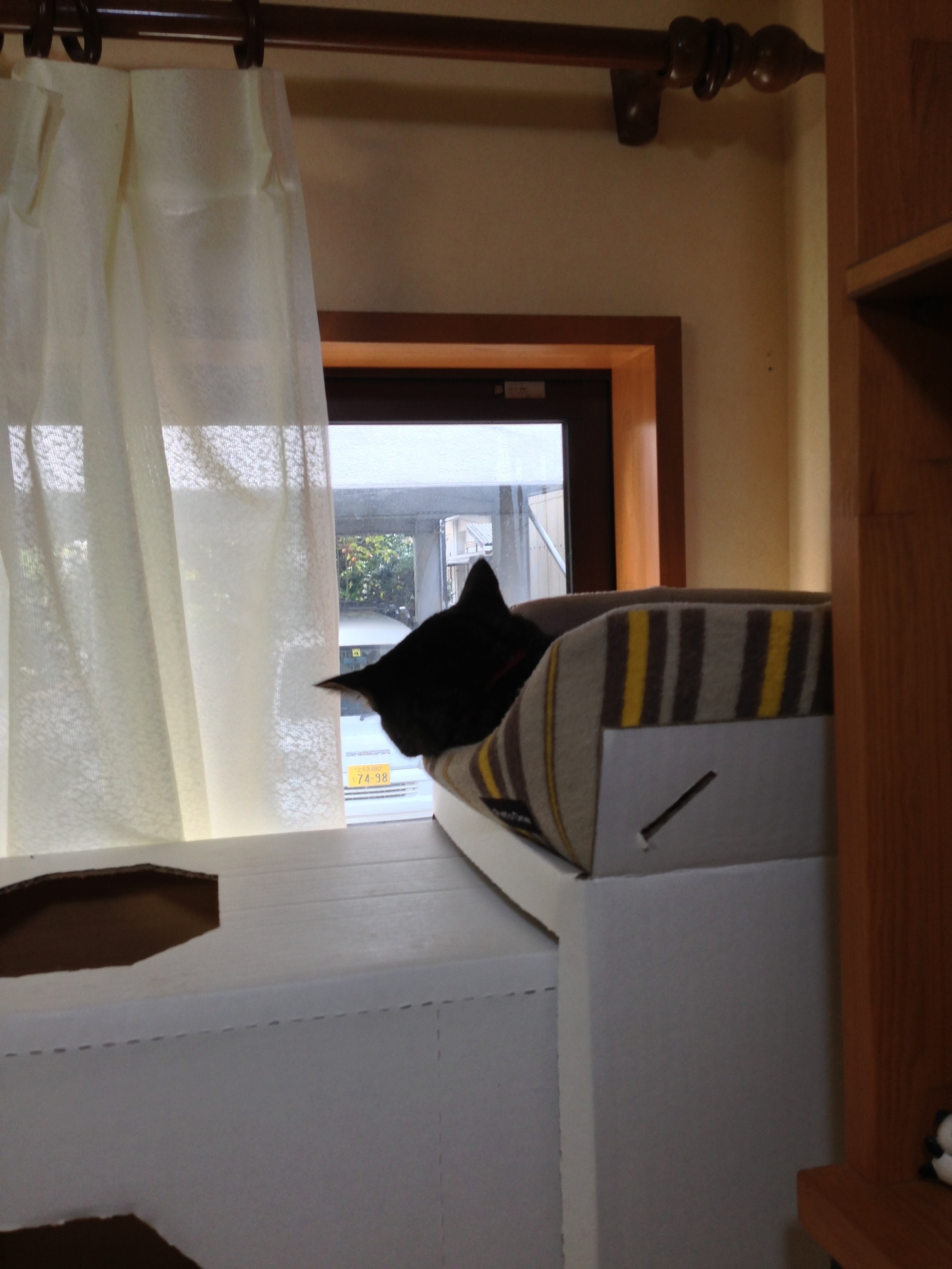 �A�����W���R���݁u�ɂ�񁙃n�E�X�v�g������Ȃ�