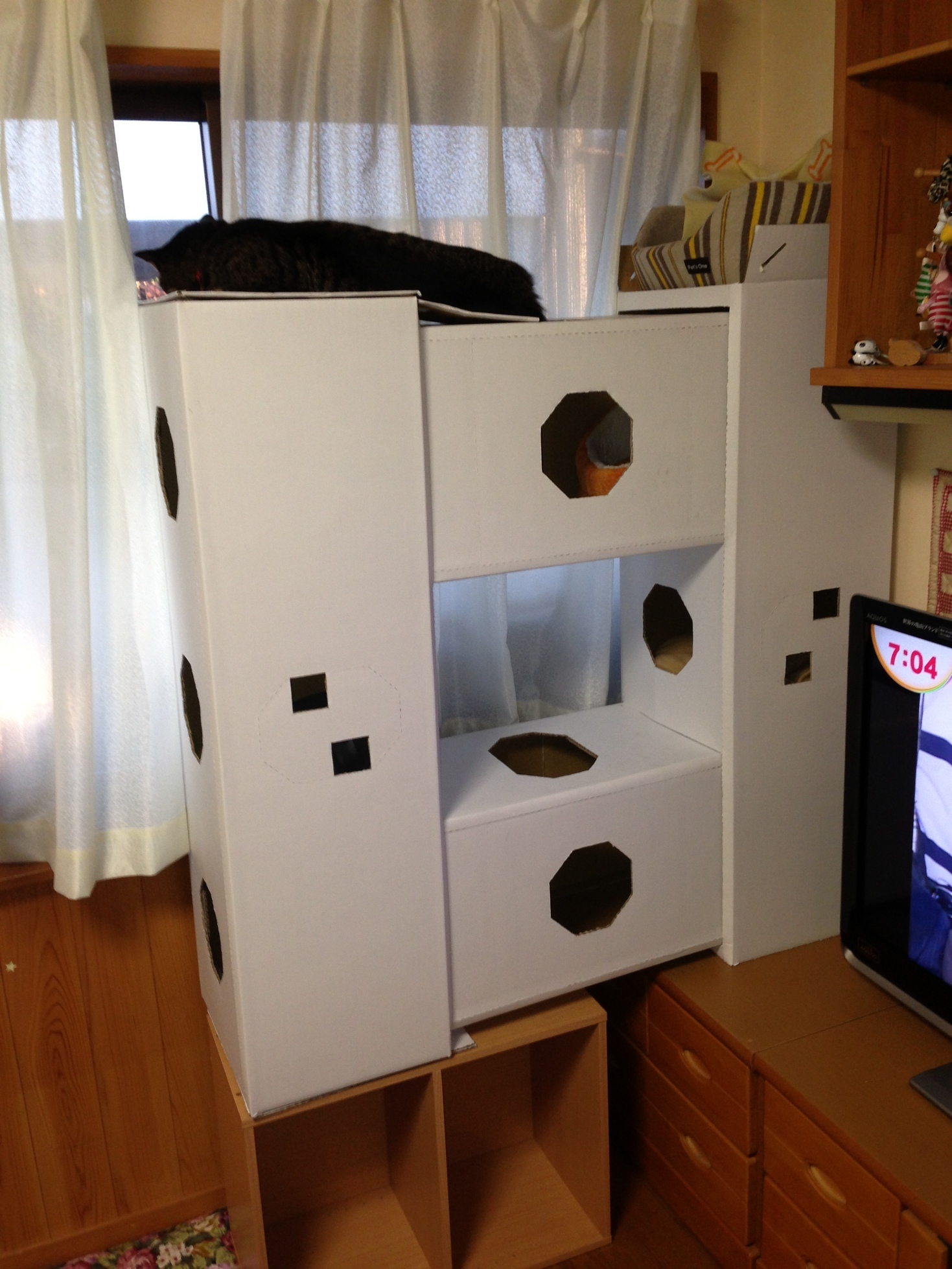 �A�����W���R���݁u�ɂ�񁙃n�E�X�v�g������Ȃ�