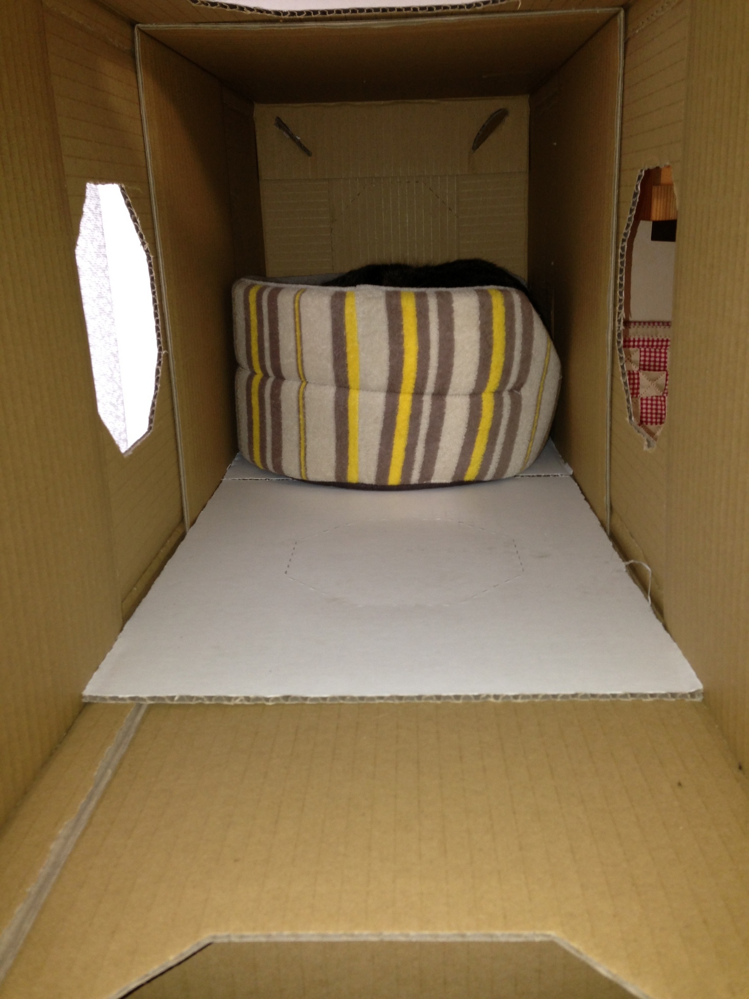 �A�����W���R���݁u�ɂ�񁙃n�E�X�v�g������Ȃ�