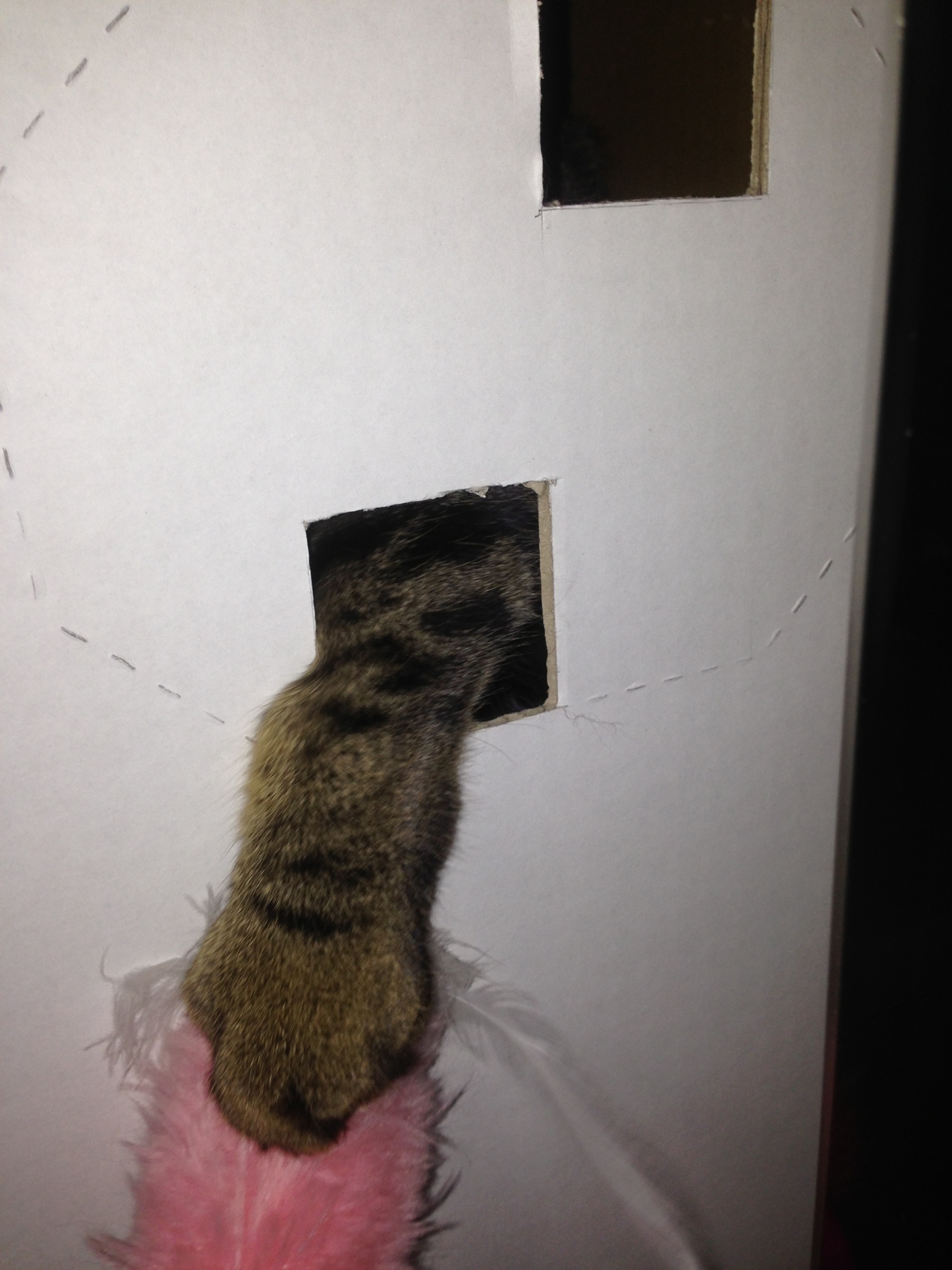 �A�����W���R���݁u�ɂ�񁙃n�E�X�v�g������Ȃ�