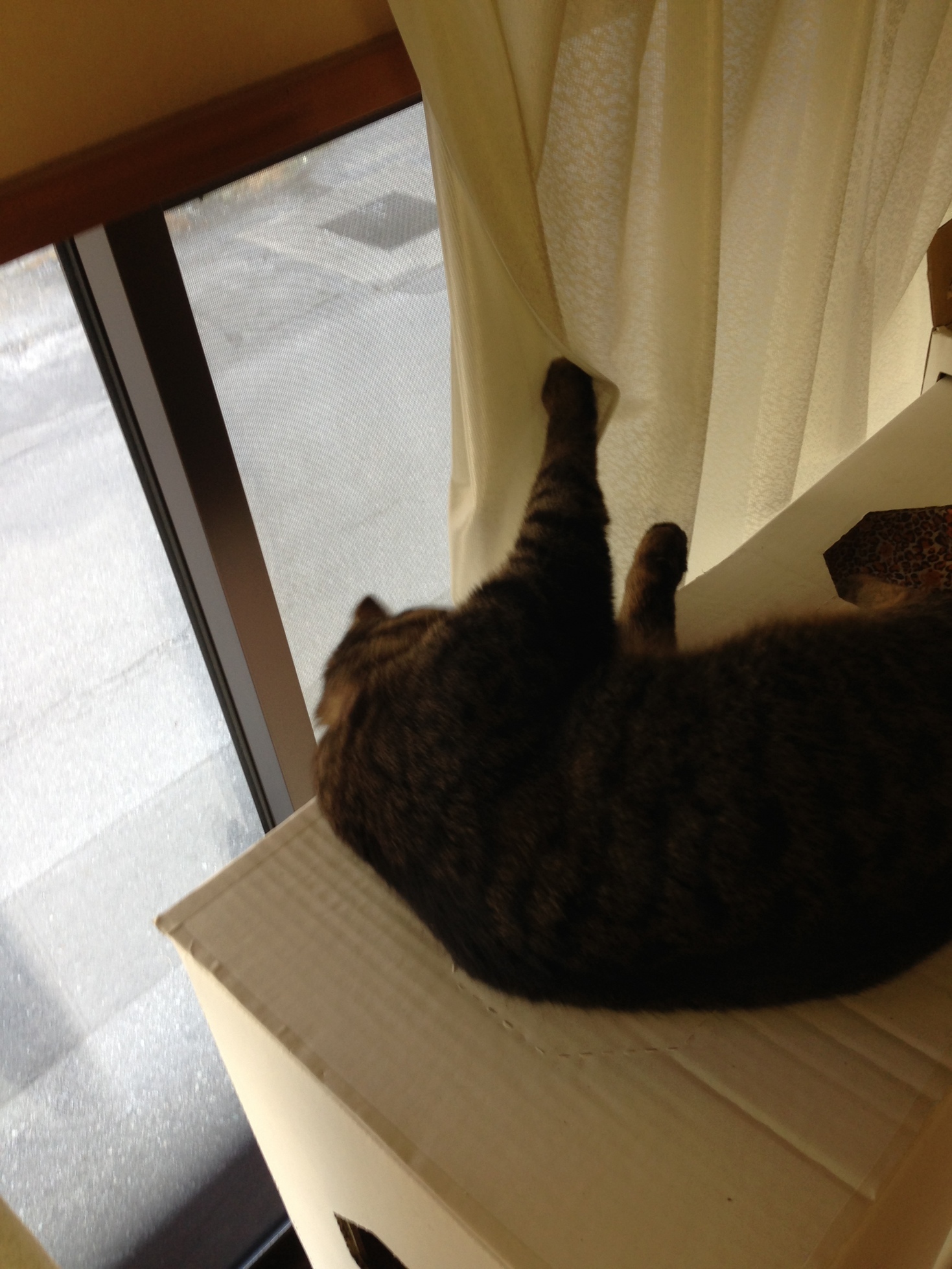 �A�����W���R���݁u�ɂ�񁙃n�E�X�v�g������Ȃ�