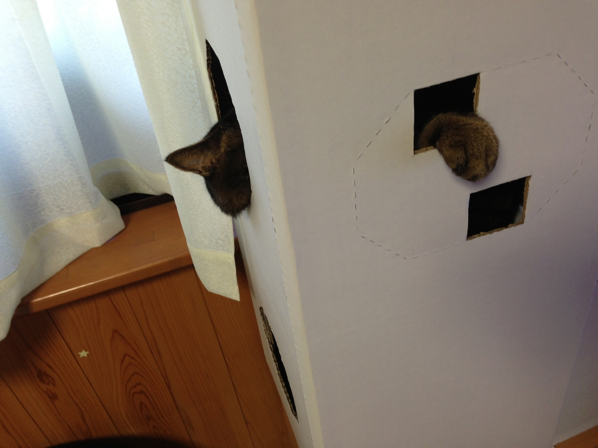 �A�����W���R���݁u�ɂ�񁙃n�E�X�v�g������Ȃ�