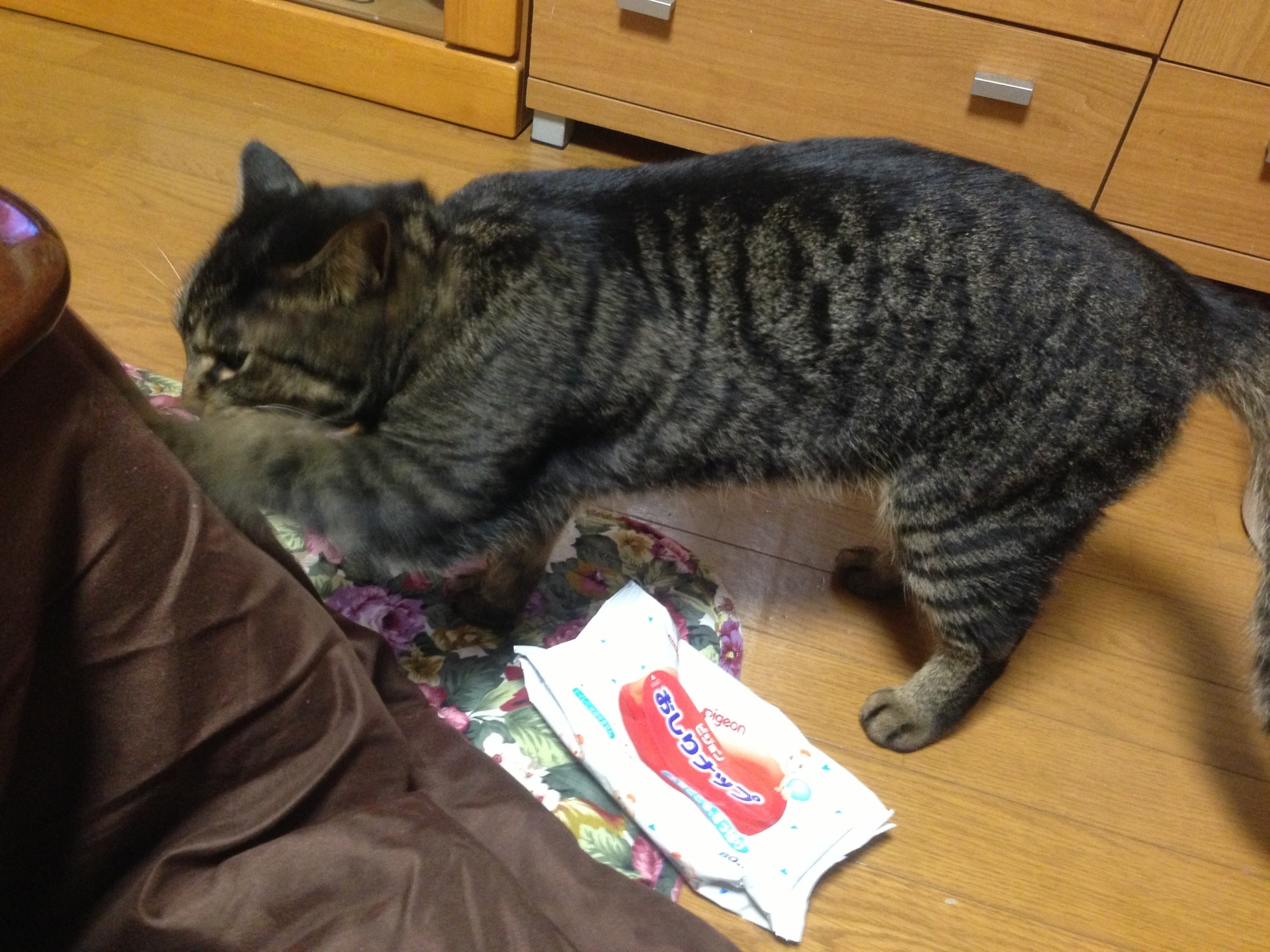 �A�����W���R���݁u�ɂ�񁙃n�E�X�v�g������Ȃ�