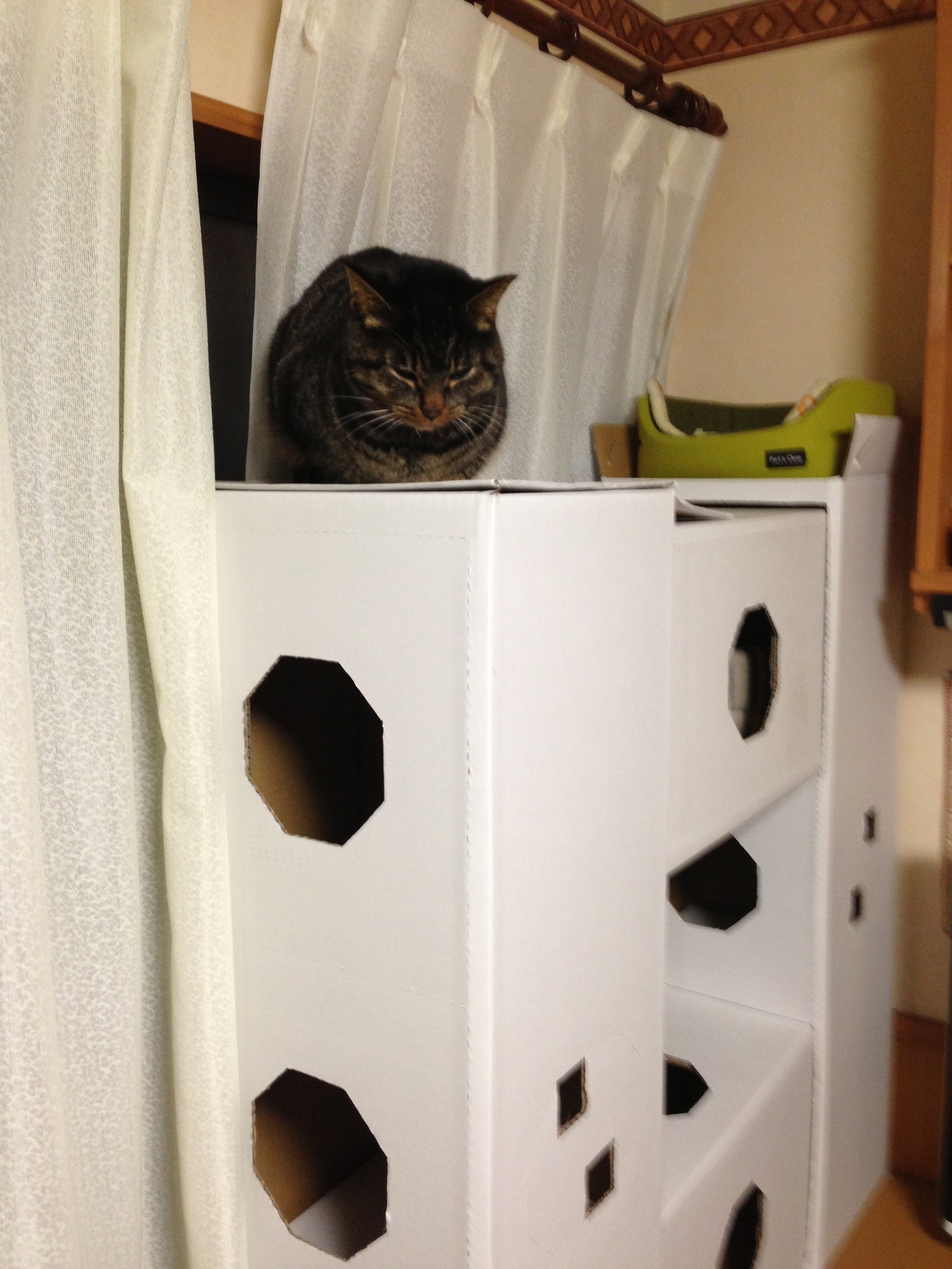 �A�����W���R���݁u�ɂ�񁙃n�E�X�v�g������Ȃ�