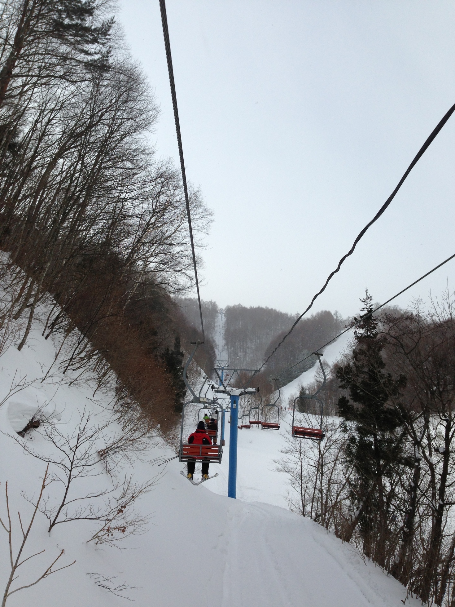 �A�����W���R���݁u�ɂ�񁙃n�E�X�v�g������Ȃ�