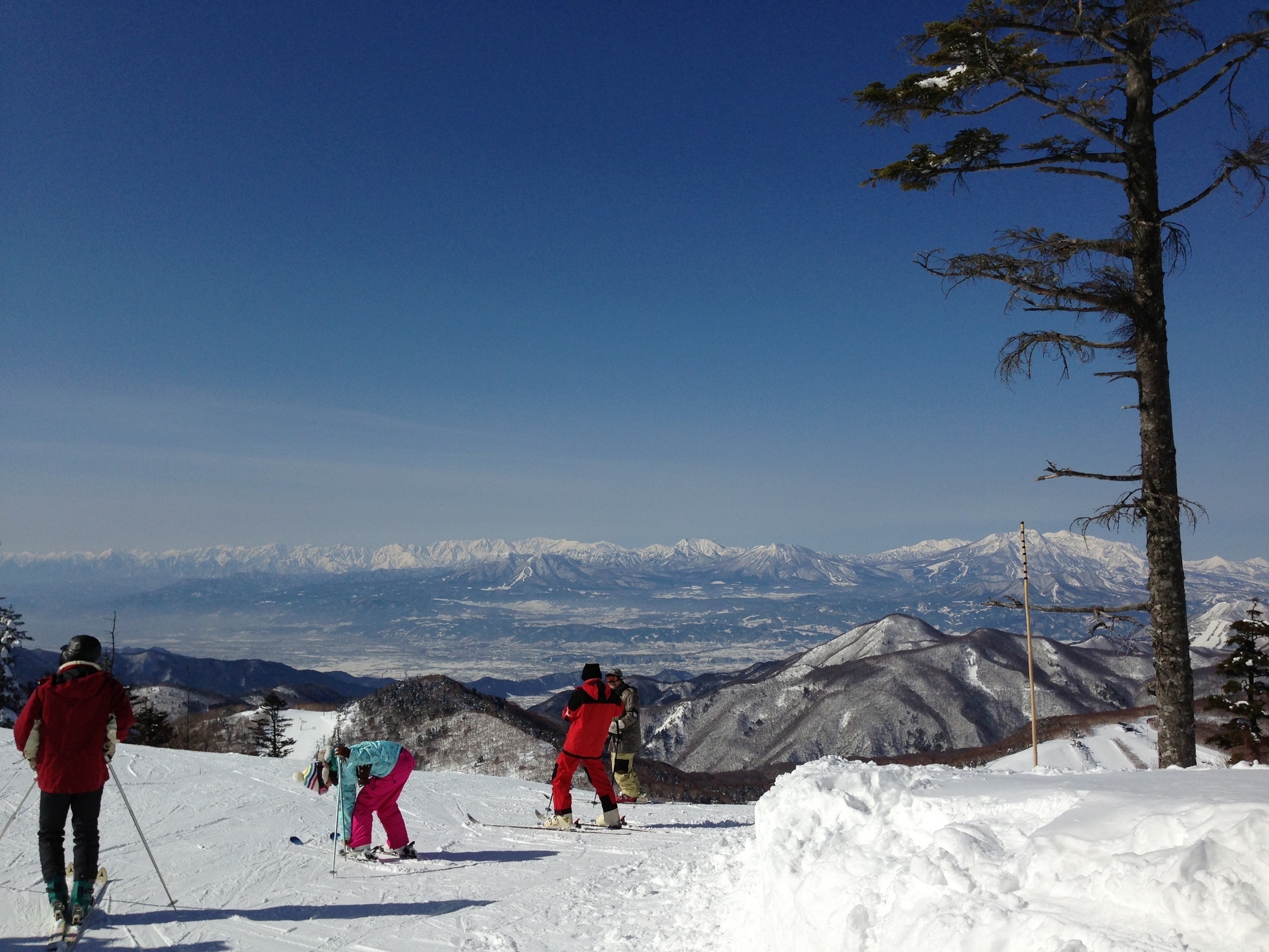 �A�����W���R���݁u�ɂ�񁙃n�E�X�v�g������Ȃ�