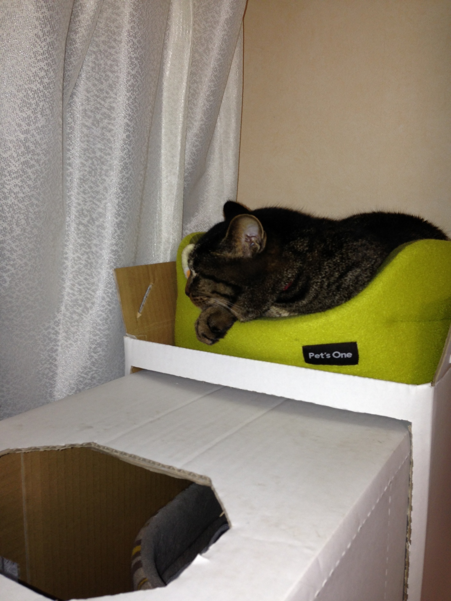 �A�����W���R���݁u�ɂ�񁙃n�E�X�v�g������Ȃ�