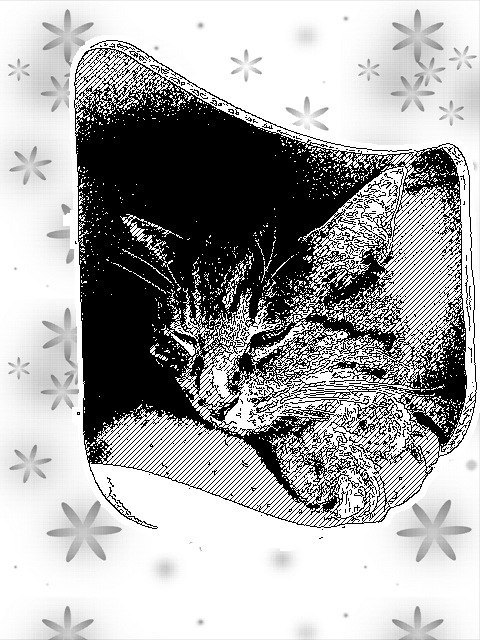 �A�����W���R���݁u�ɂ�񁙃n�E�X�v�g������Ȃ�